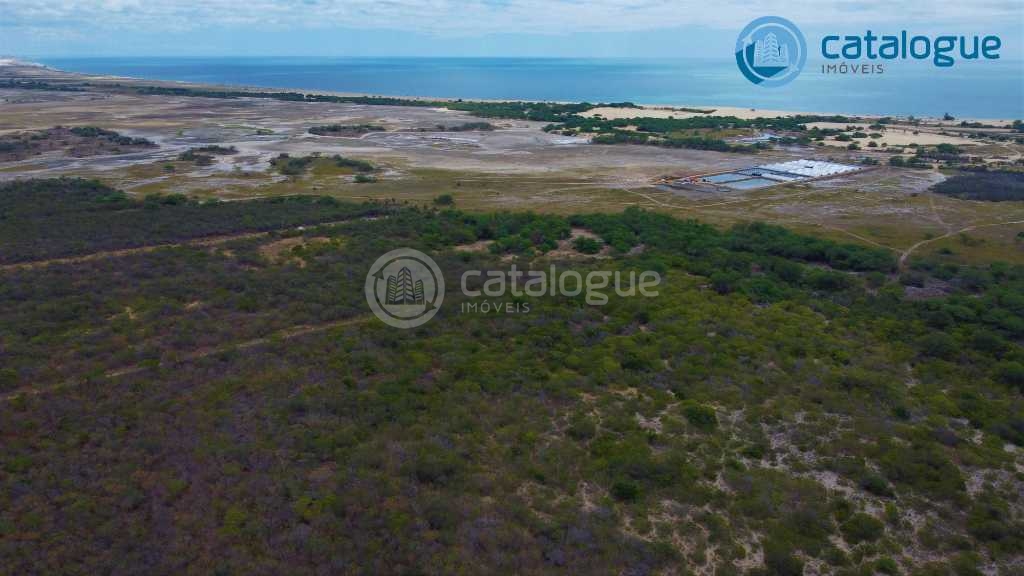 Fazenda em Caíçara do Norte 552 Ha