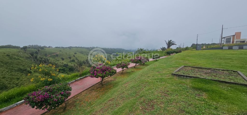 Condomínio montelier – bananeiras - foto 1
