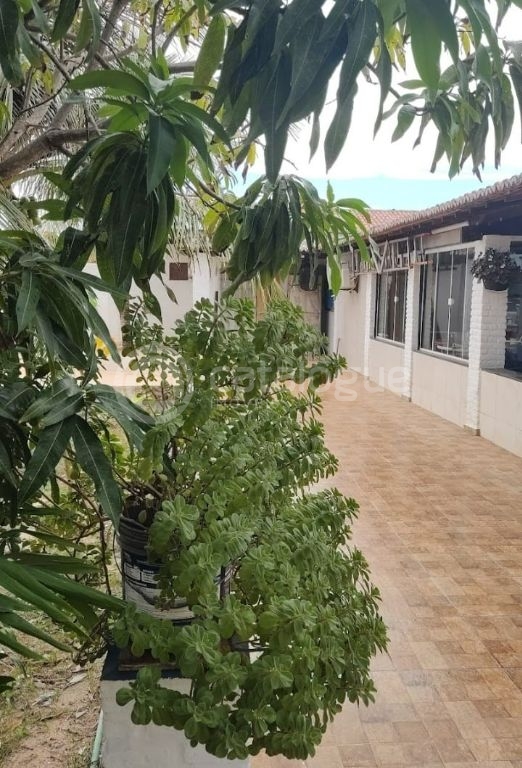 Casa espetacular 100% climatizada e com usina com capacidade