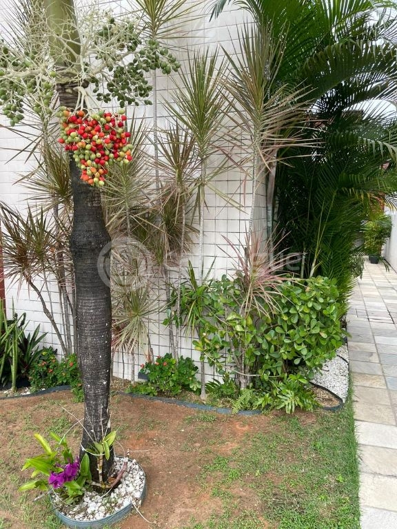 Residencial Vitória Régia térreo para moradia ou investimento com 84 metros de área privada