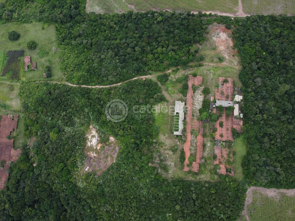 Fazenda à venda em são josé de mipibu - oportunidade única!