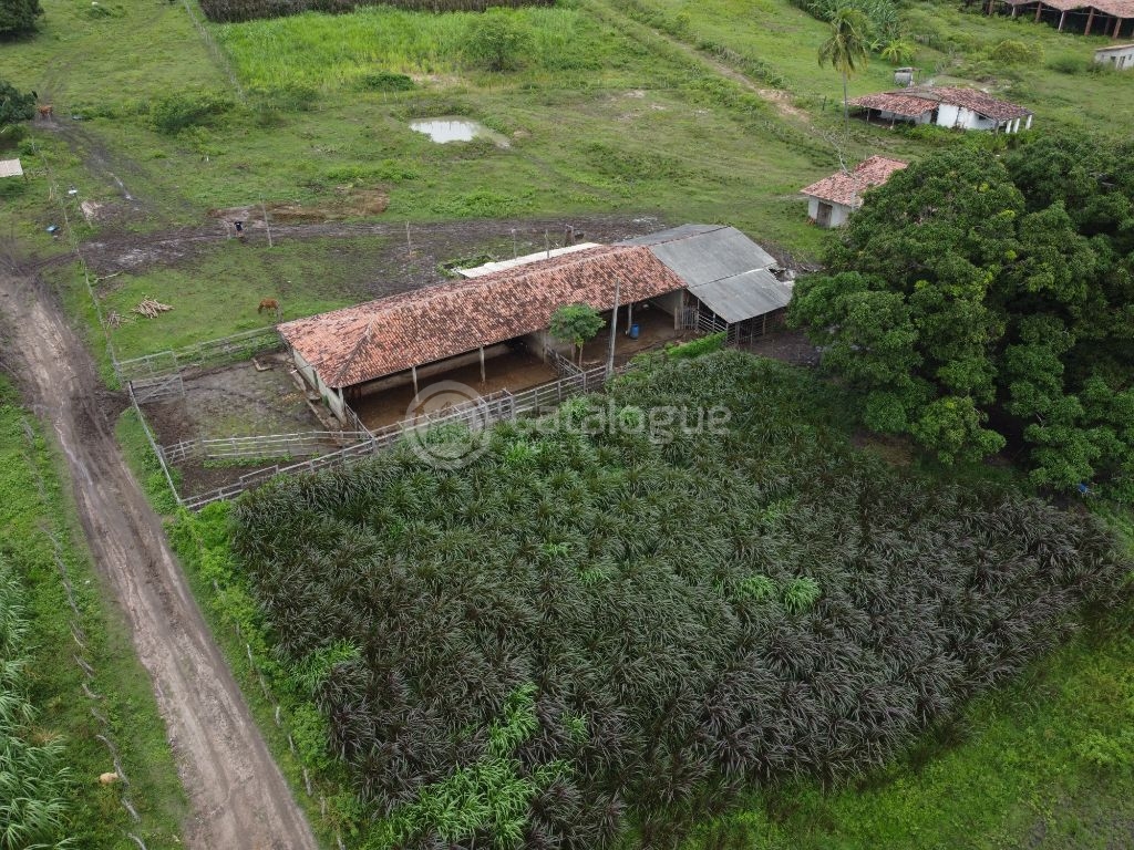 Fazenda à venda em são josé de mipibu - oportunidade única!