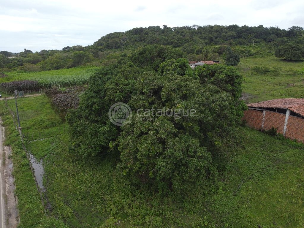 Fazenda à Venda em São José de Mipibu - Oportunidade Única!