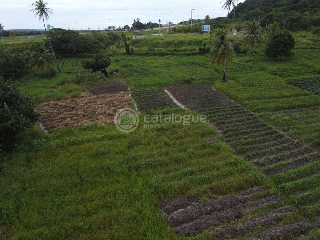 Fazenda à Venda em São José de Mipibu - Oportunidade Única!