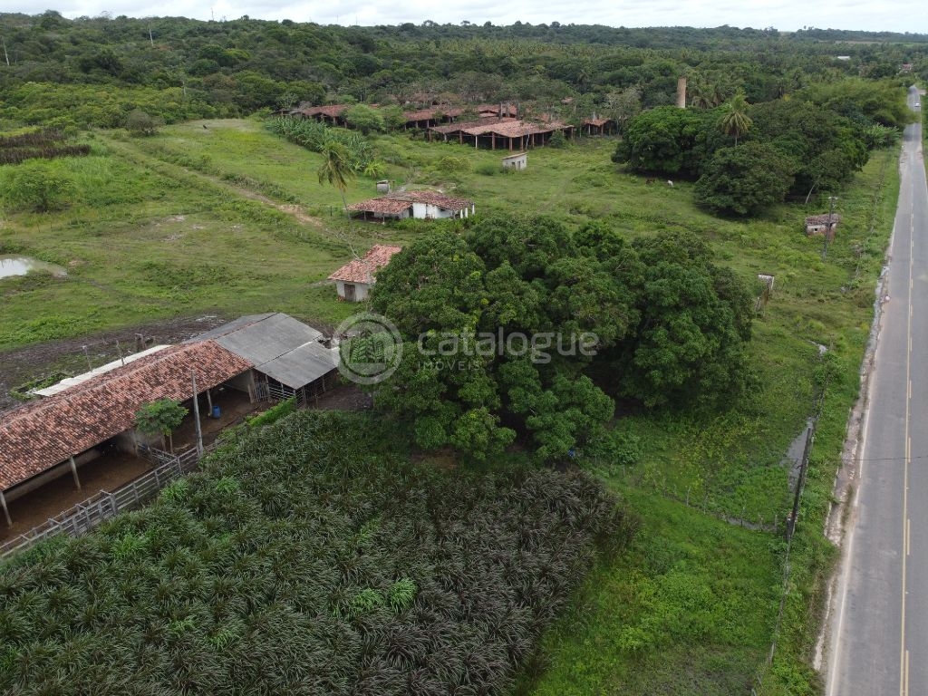 Fazenda à venda em são josé de mipibu - oportunidade única!