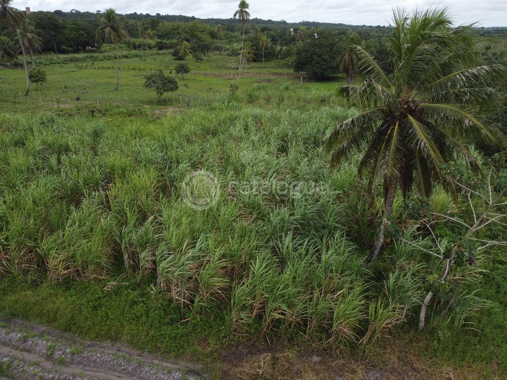 Fazenda à Venda em São José de Mipibu - Oportunidade Única!