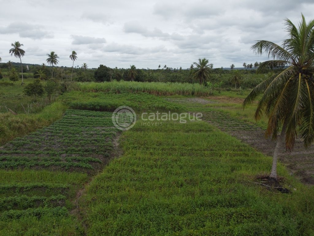 Fazenda à Venda em São José de Mipibu - Oportunidade Única!