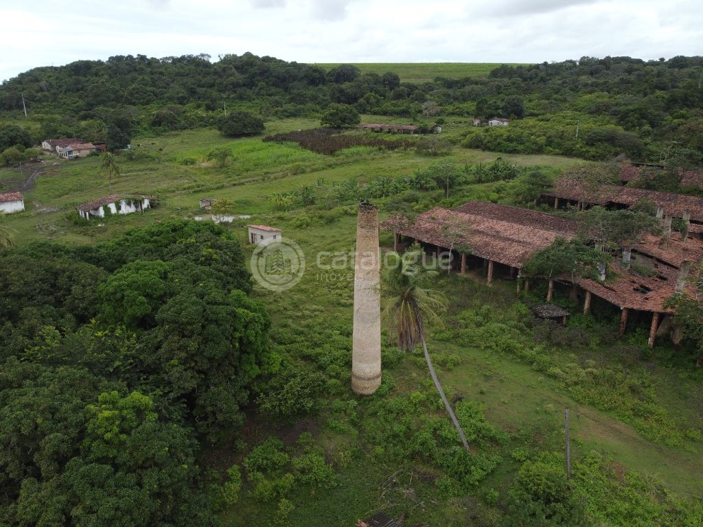 Fazenda à venda em são josé de mipibu - oportunidade única!