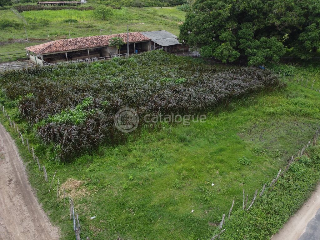 Fazenda à Venda em São José de Mipibu - Oportunidade Única!