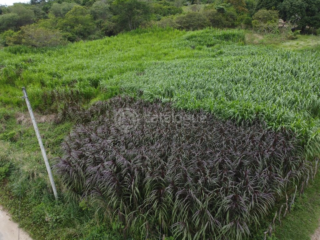 Fazenda à Venda em São José de Mipibu - Oportunidade Única!