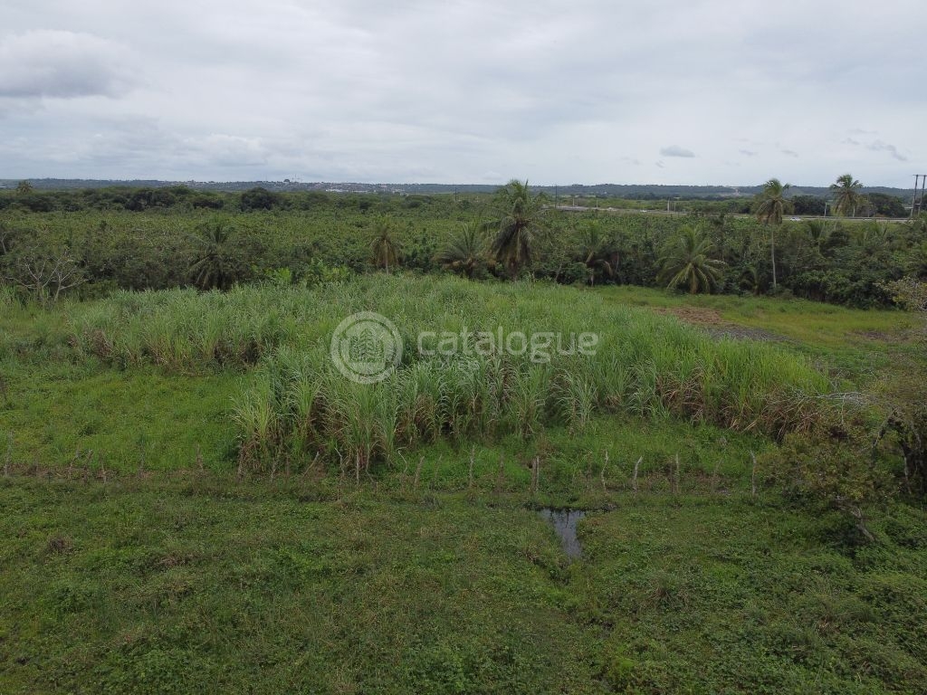 Fazenda à Venda em São José de Mipibu - Oportunidade Única!