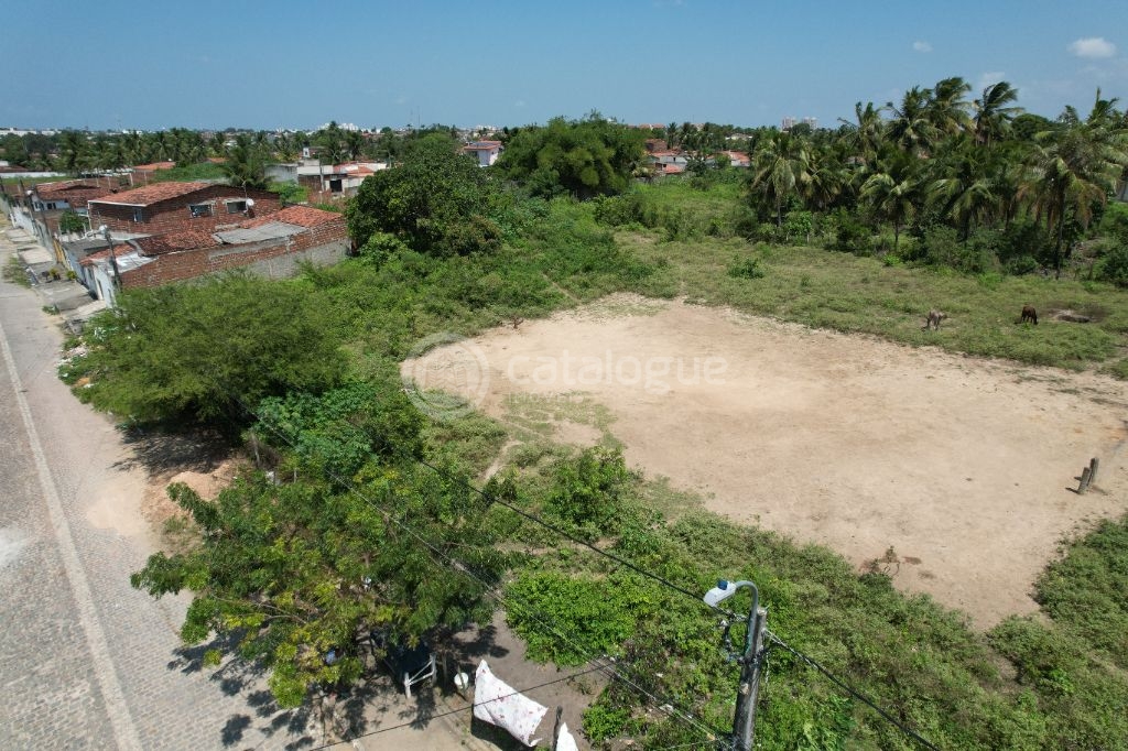 Excelente Terreno de 4.800 m² em Passagem de Areia Parnamirim/RN Ótima Oportunidade!
