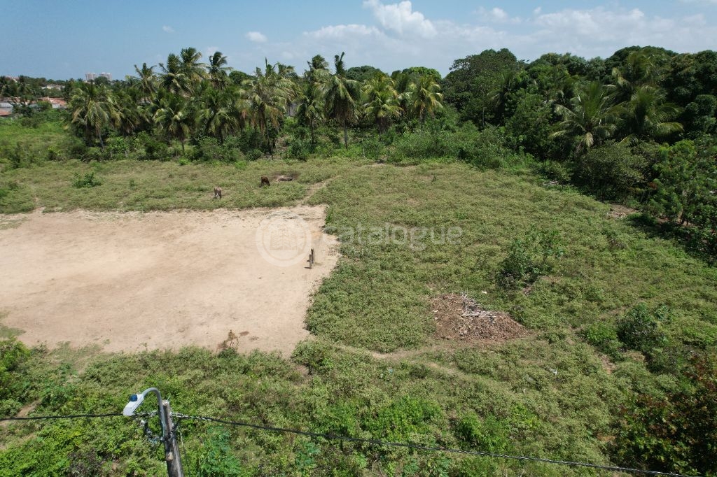 Excelente Terreno de 4.800 m² em Passagem de Areia Parnamirim/RN Ótima Oportunidade!