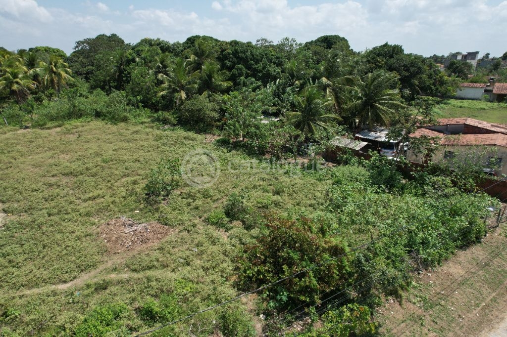 Excelente Terreno de 4.800 m² em Passagem de Areia Parnamirim/RN Ótima Oportunidade!