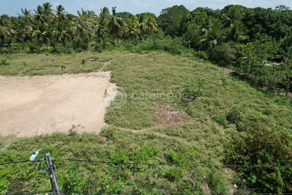 Excelente Terreno de 4.800 m² em Passagem de Areia Parnamirim/RN Ótima Oportunidade!