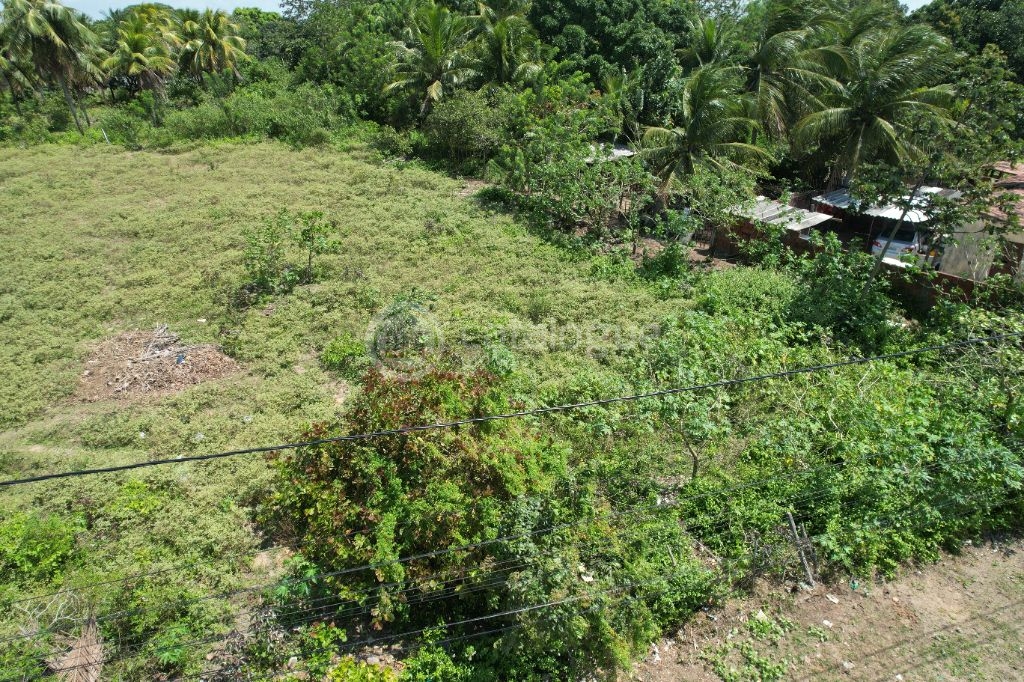 Excelente Terreno de 4.800 m² em Passagem de Areia Parnamirim/RN Ótima Oportunidade!
