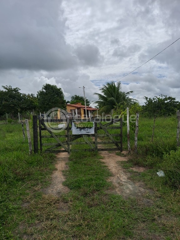 Chácara à Venda - 2 Hectares