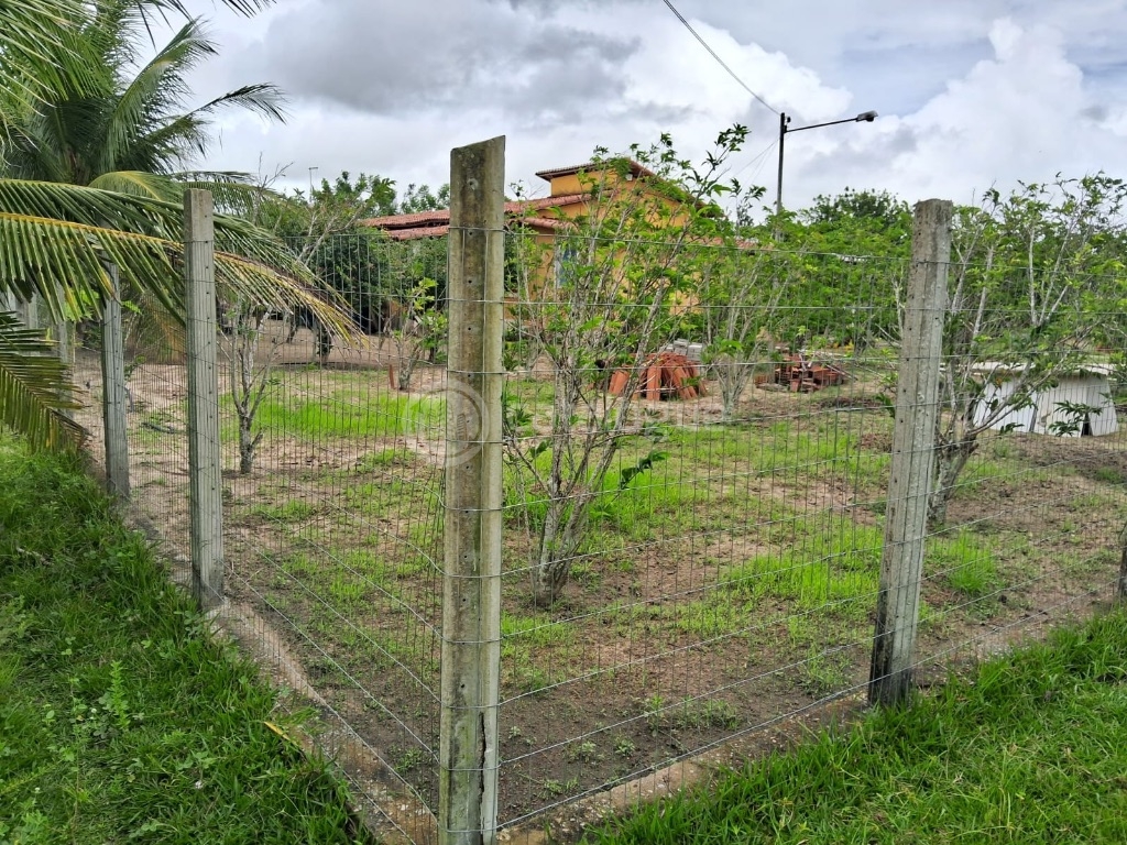 Chácara à Venda - 2 Hectares