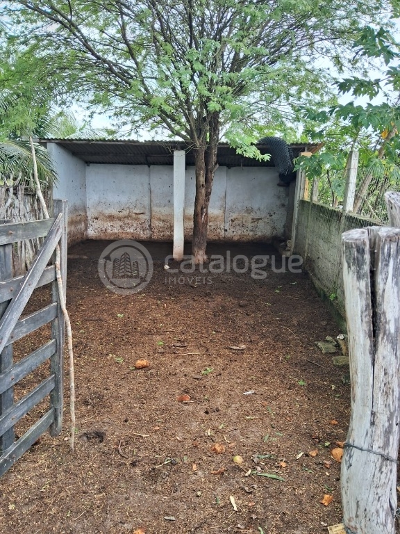 Chácara à Venda - 2 Hectares