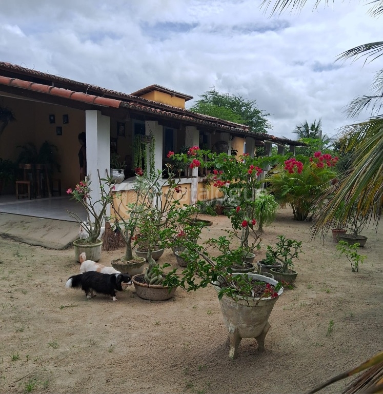 Chácara à Venda - 2 Hectares