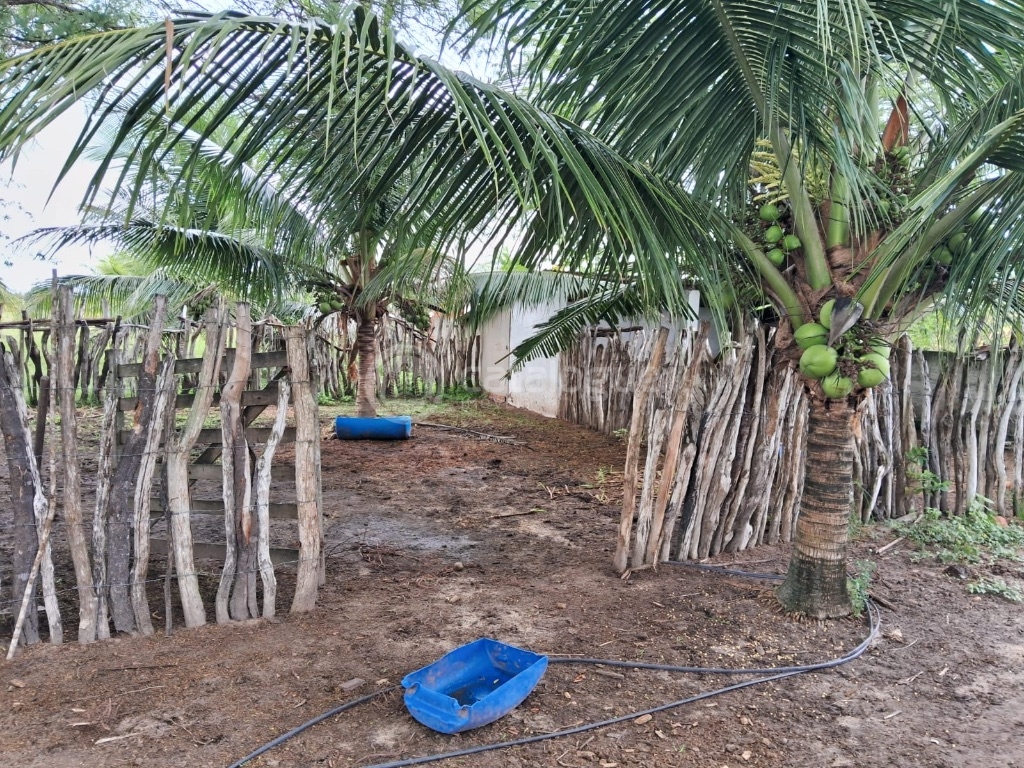 Chácara à Venda - 2 Hectares