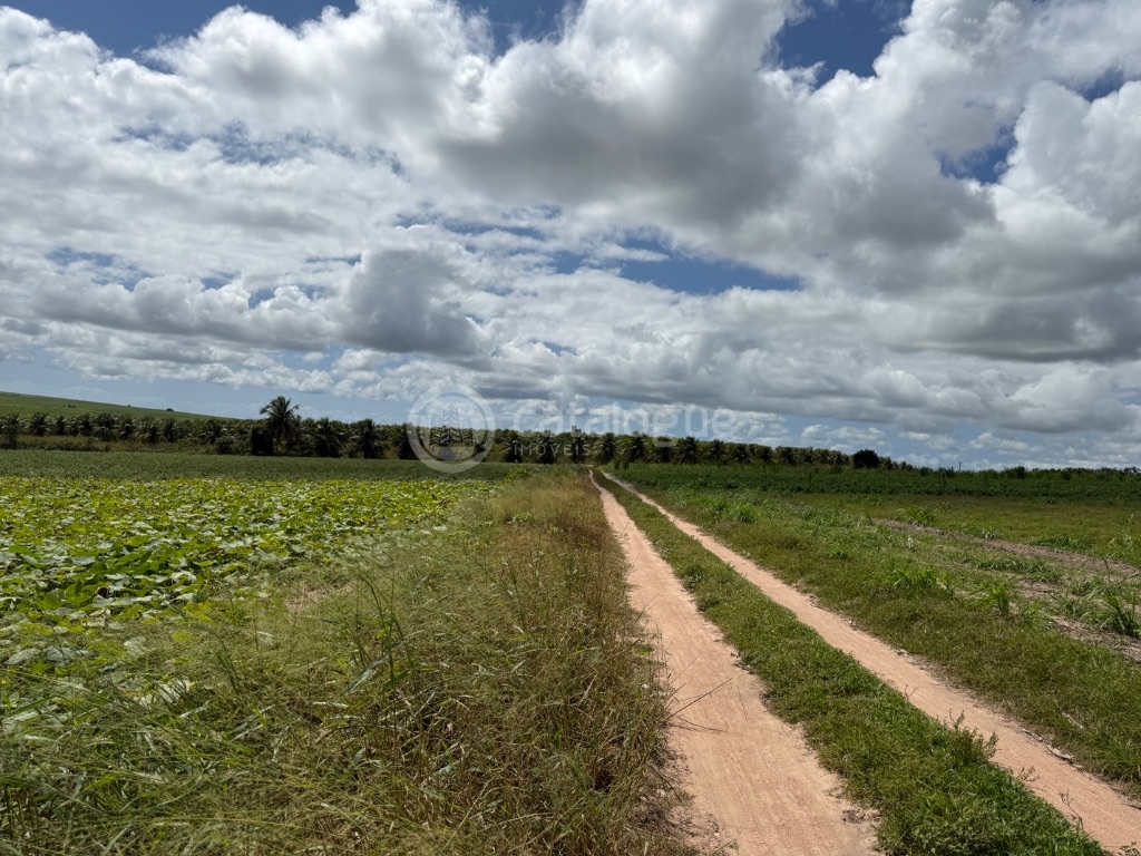 Fazenda 345 Hectares