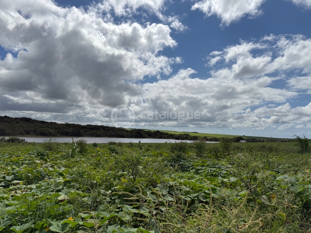 Fazenda 345 Hectares
