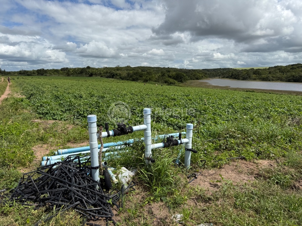 Fazenda 345 Hectares