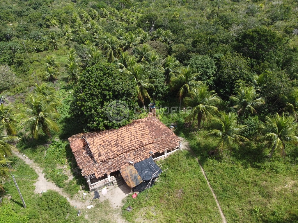 Fazenda 345 Hectares