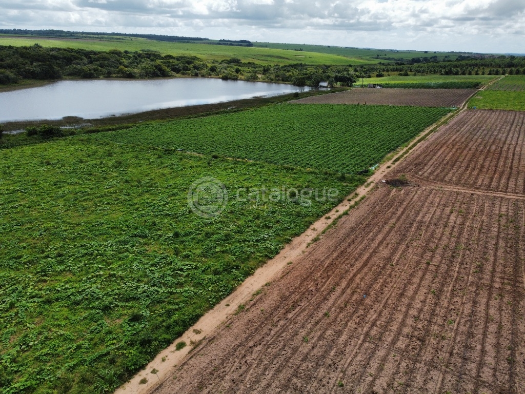 Fazenda 345 Hectares