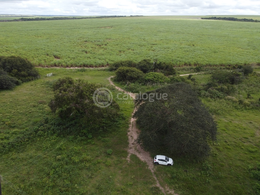 Fazenda 345 Hectares
