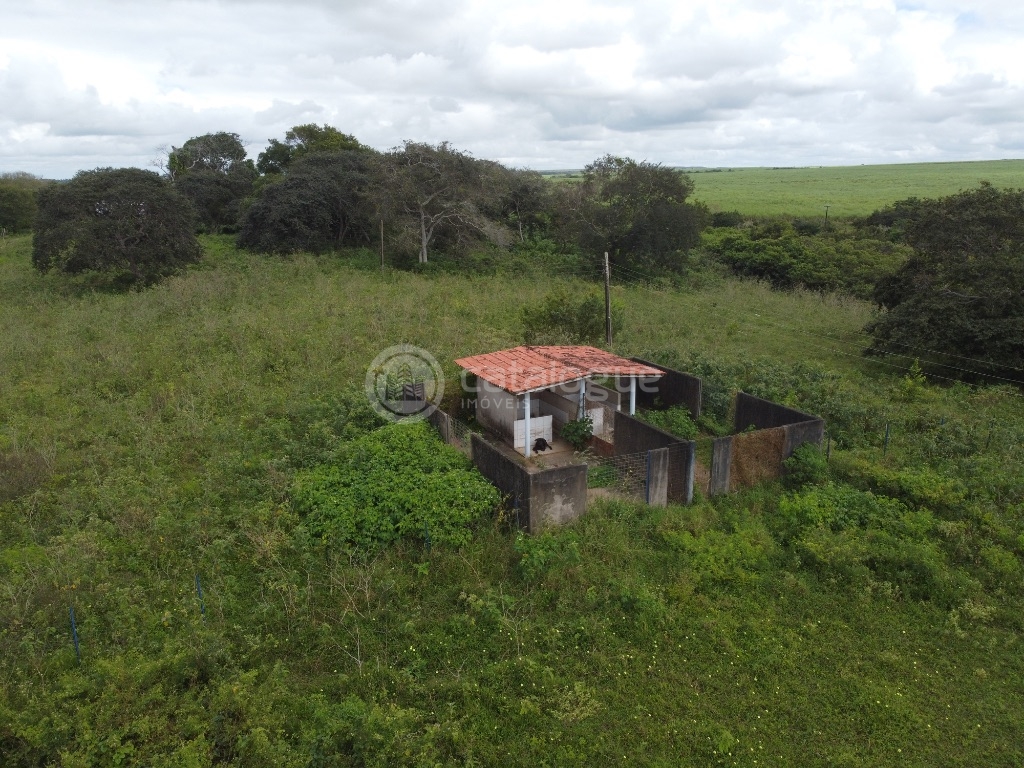 Fazenda 345 Hectares
