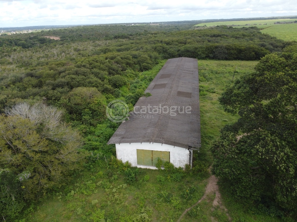 Fazenda 345 Hectares