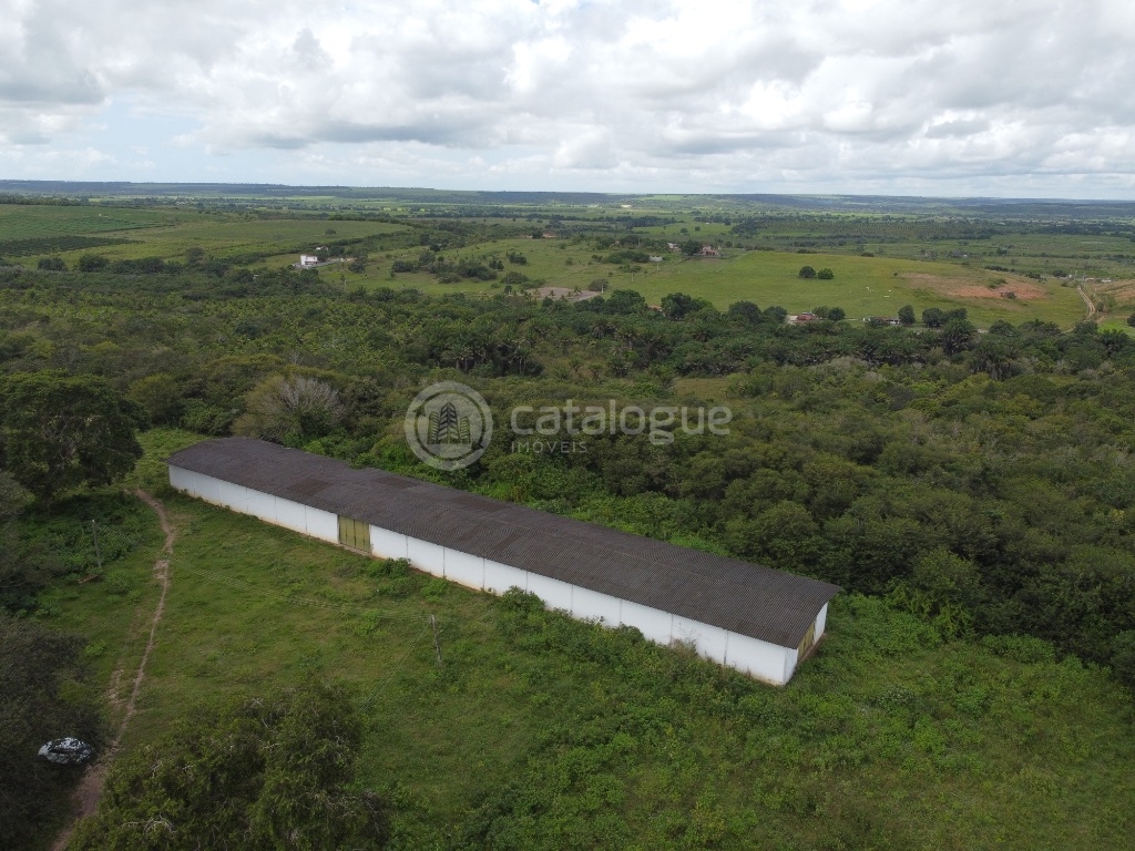 Fazenda 345 Hectares
