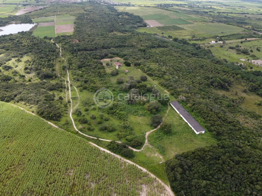 Fazenda 345 Hectares