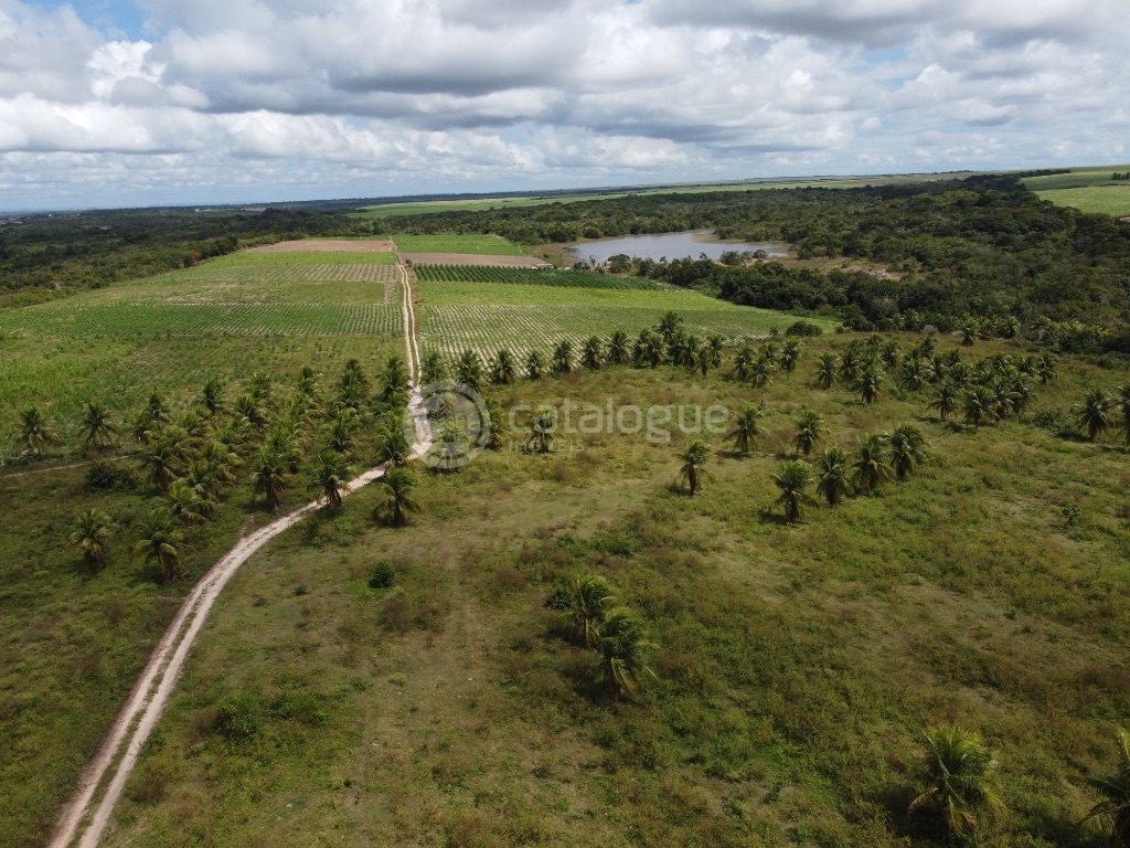 Fazenda 345 Hectares
