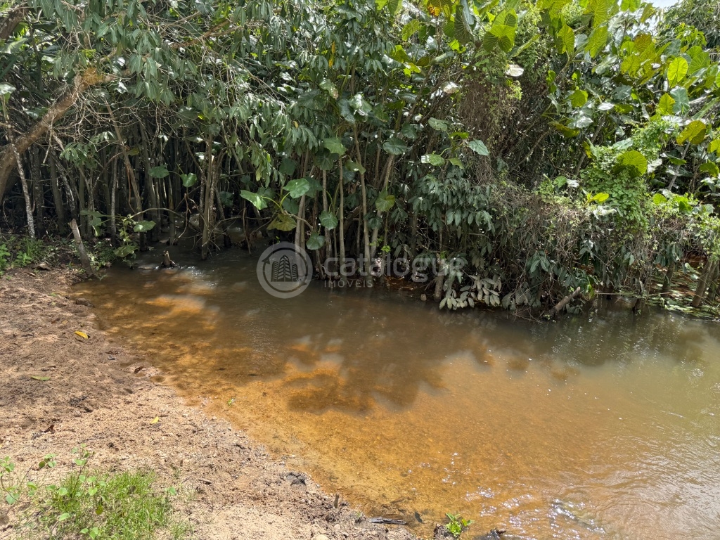 Fazenda 345 Hectares