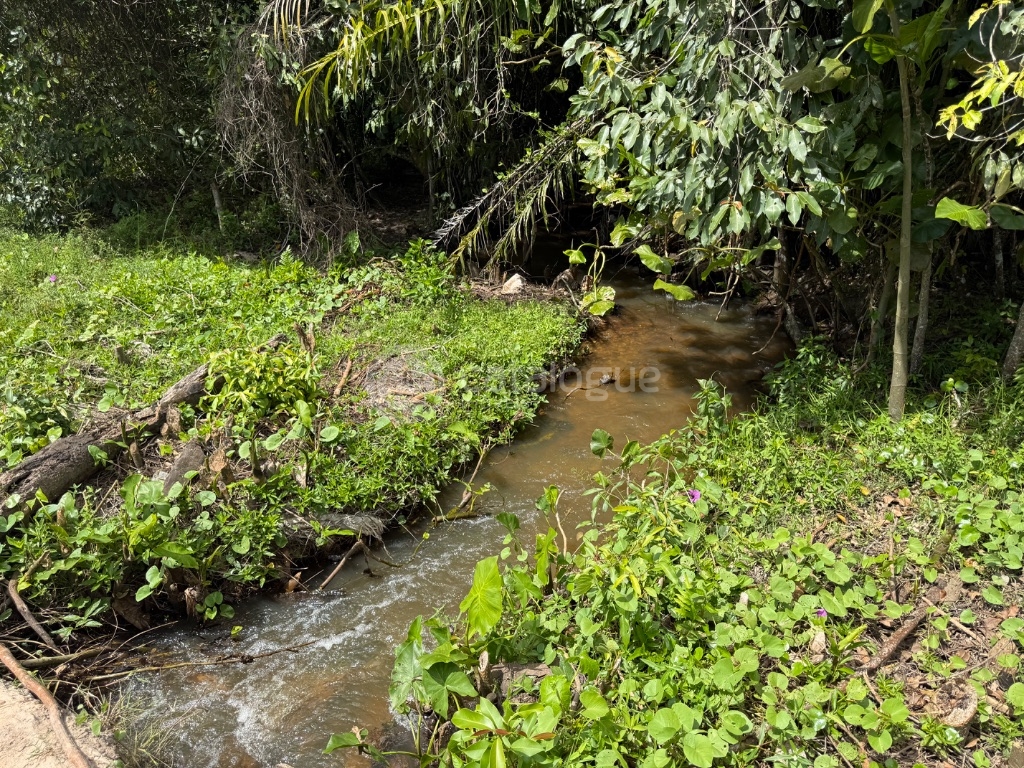 Fazenda 345 Hectares