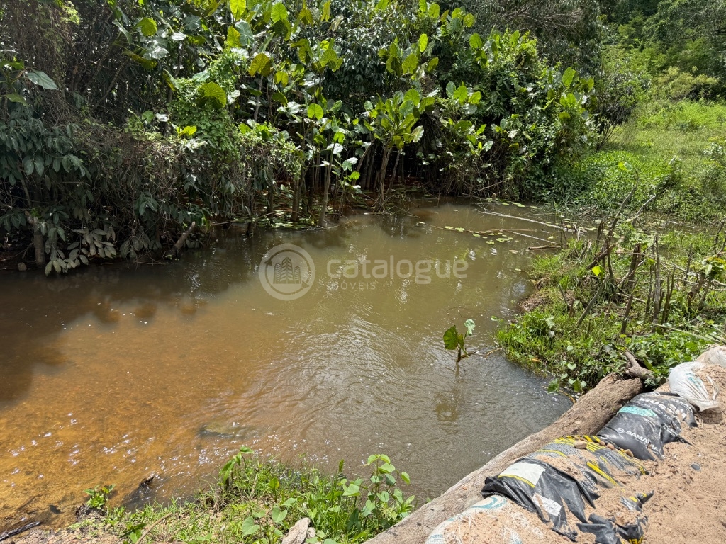 Fazenda 345 Hectares