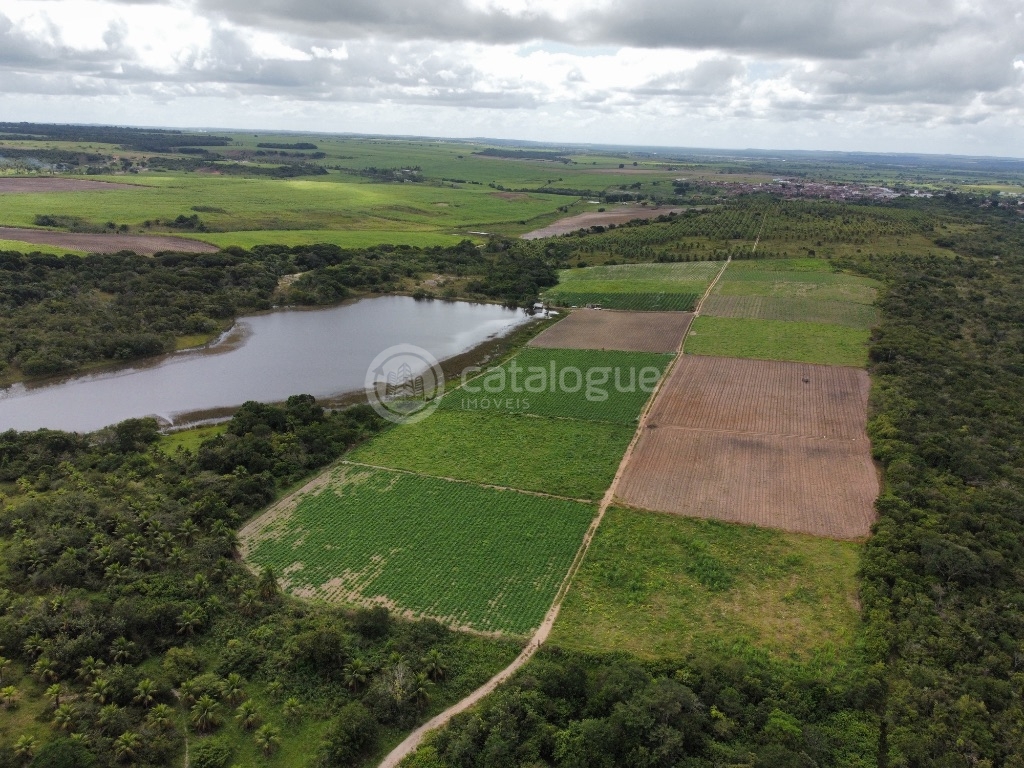 Fazenda 345 Hectares
