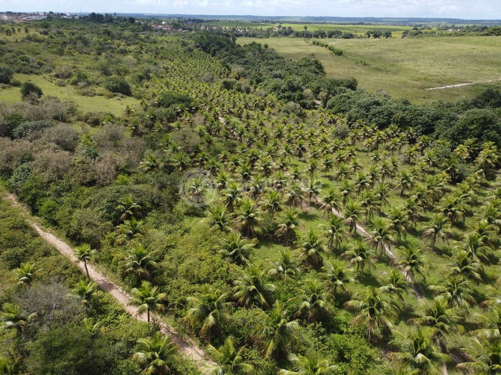 Fazenda 345 Hectares