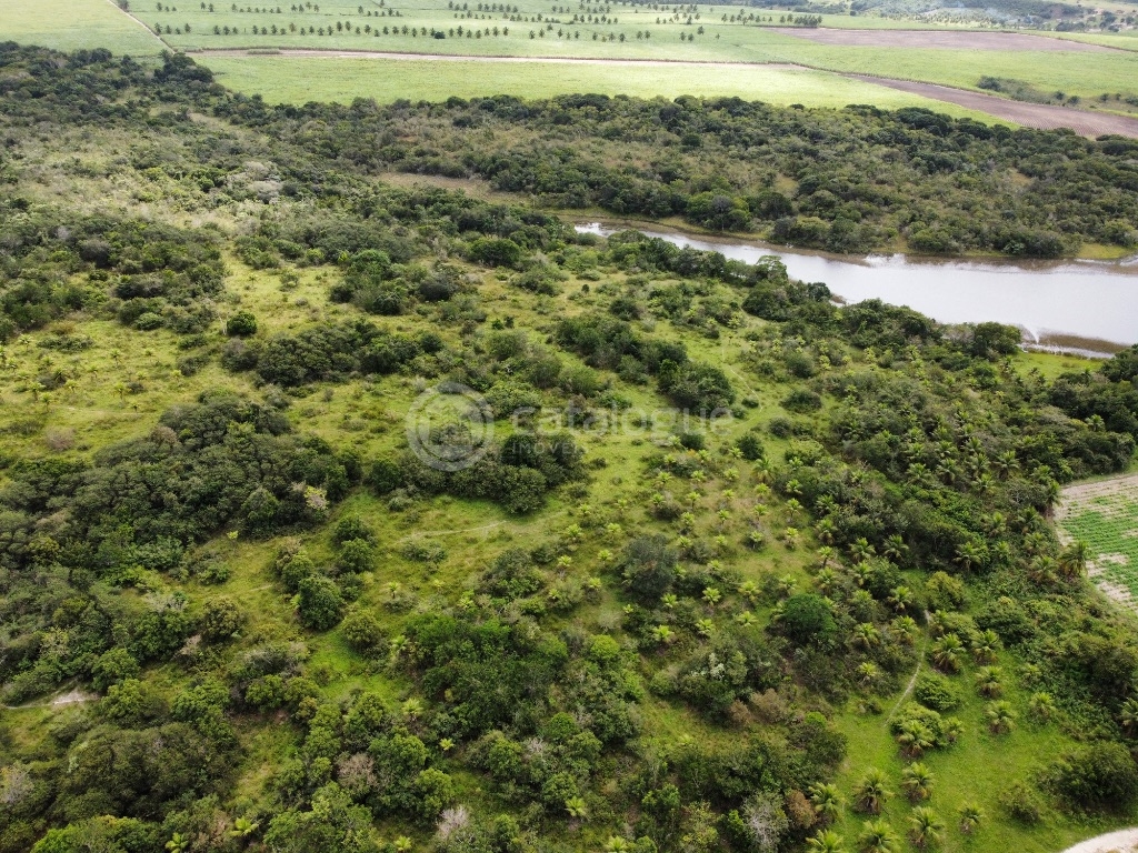 Fazenda 345 Hectares