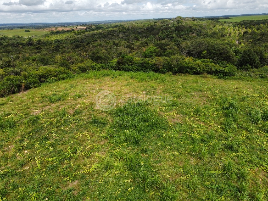 Fazenda 345 Hectares