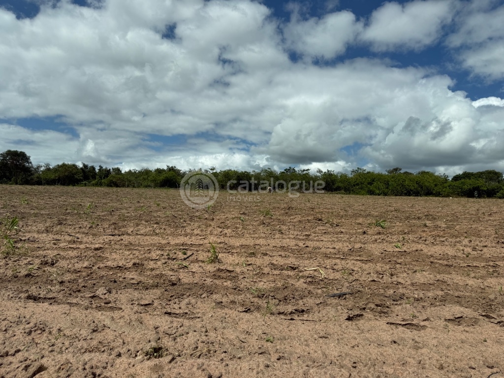Fazenda 345 Hectares