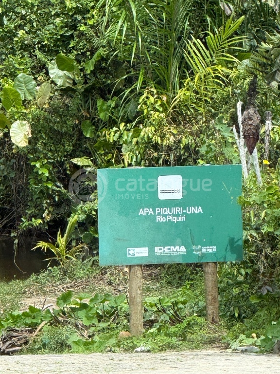 Fazenda 345 Hectares