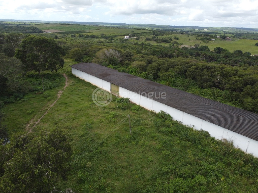 Fazenda 345 Hectares