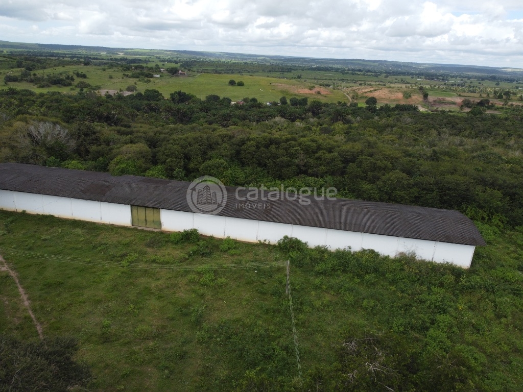 Fazenda 345 Hectares