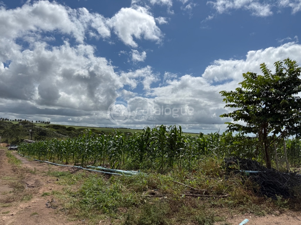 Fazenda 345 Hectares