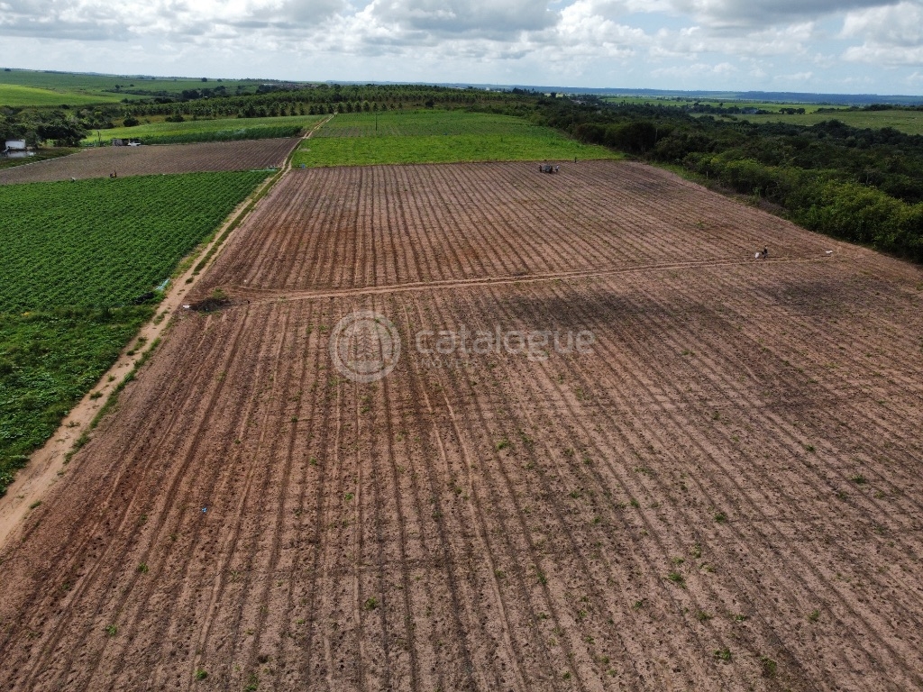 Fazenda 345 Hectares