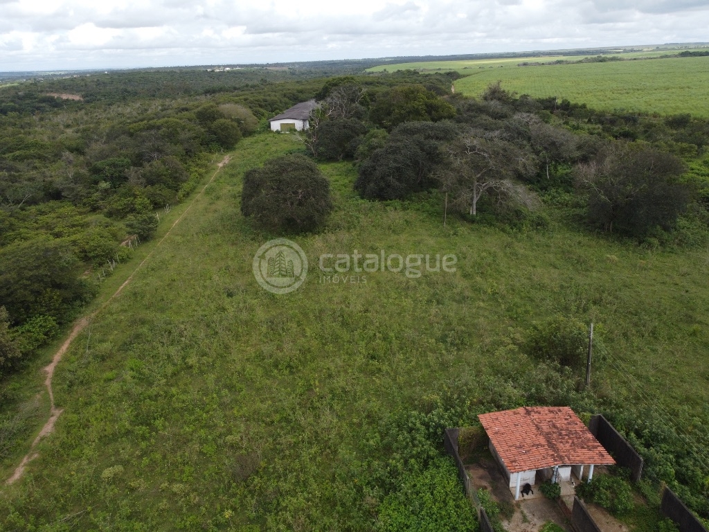 Fazenda 345 Hectares